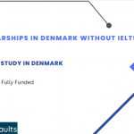 Scholarships in Denmark without IELTS