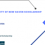 University of New Haven Scholarship 2024-2025 : Study in USA Fully Funded